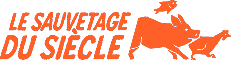 Le sauvetage du siècle